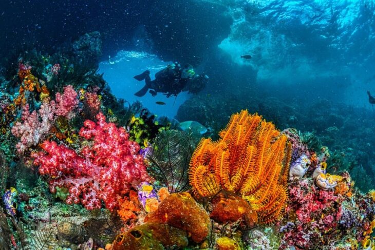 Playa Del Carmen